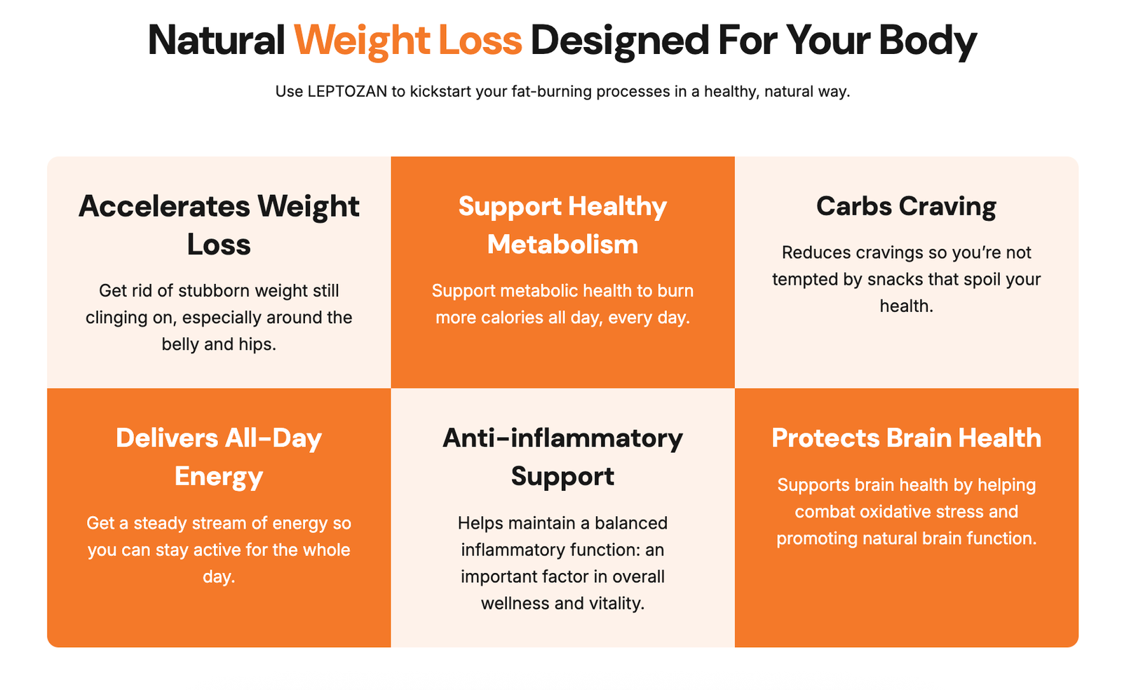 Leptozan benefits — fat burning, appetite control, sustained energy